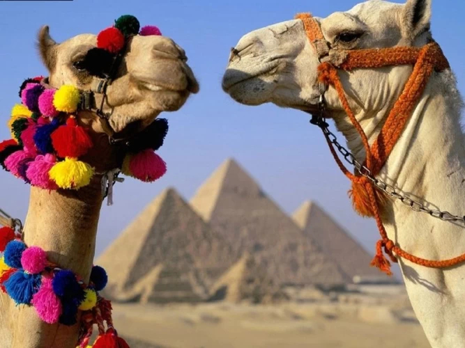 Excursión de un día a las atracciones de El Cairo y paseo en camello desde Hurghada
