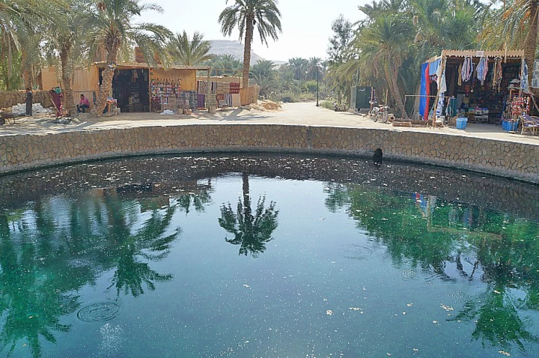 Cleopatra Spring in Siwa Oasis | Ain Guba
