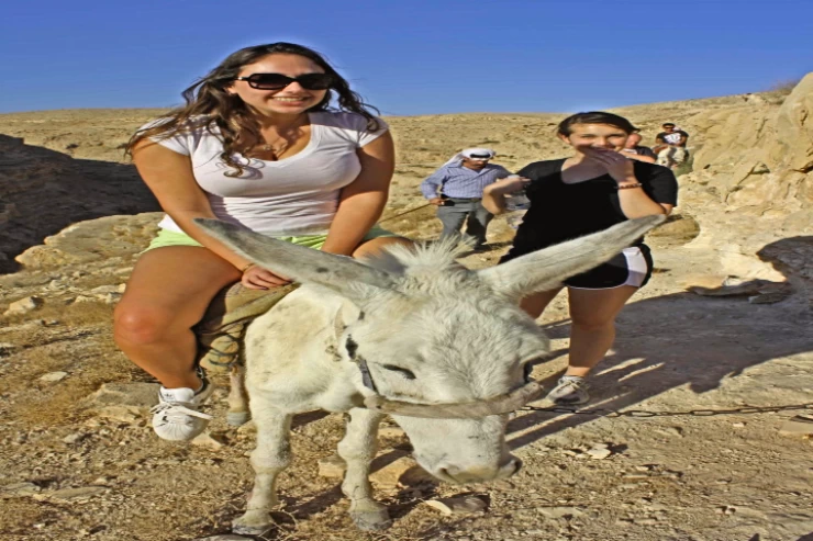 Excursión de un día a la campiña de Giza y Dahshour desde Sharm El Shiekh