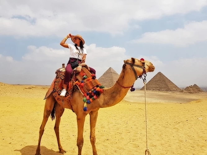 Excursión de medio día a las Pirámides de Giza y paseo en camello con almuerzo
