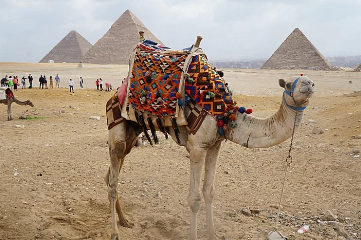 Tour From Hurghada To Giza Pyramids with Entrance to Khufo