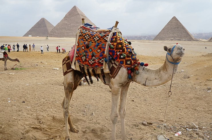 Tour economico del Cairo alle Piramidi di Giza con giro in cammello e biglietti d'ingresso