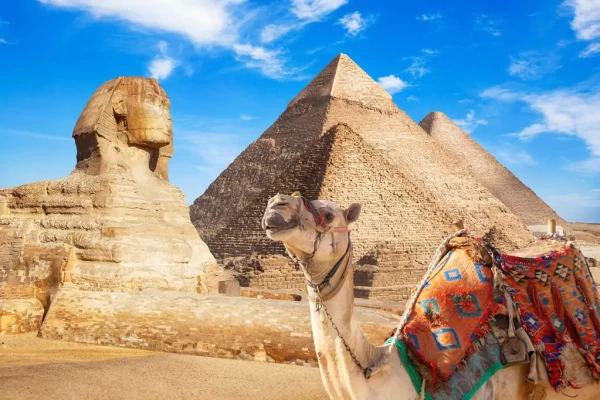 Прогулка на верблюдах или лошадях вокруг пирамид Гизы