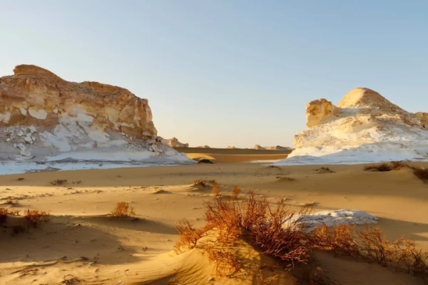 3 days Safari Trip to Bahariya Oasis and White Desert
