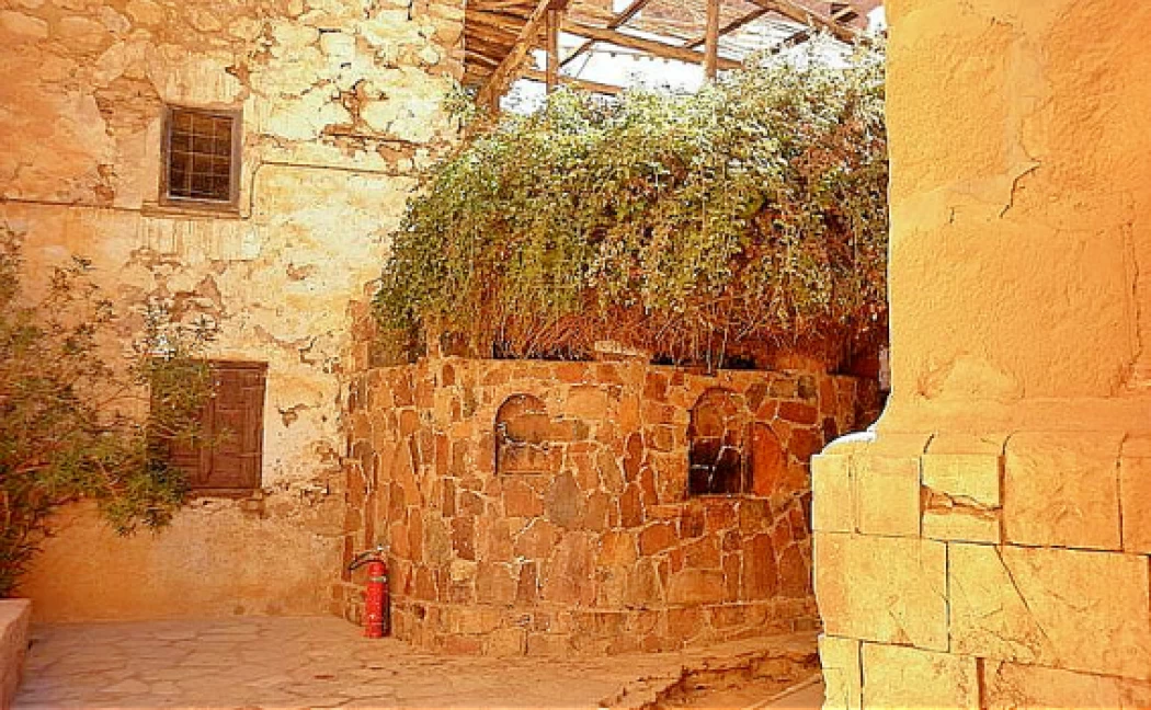 Burning Bush Monastère Sainte-Catherine dans le Sinaï