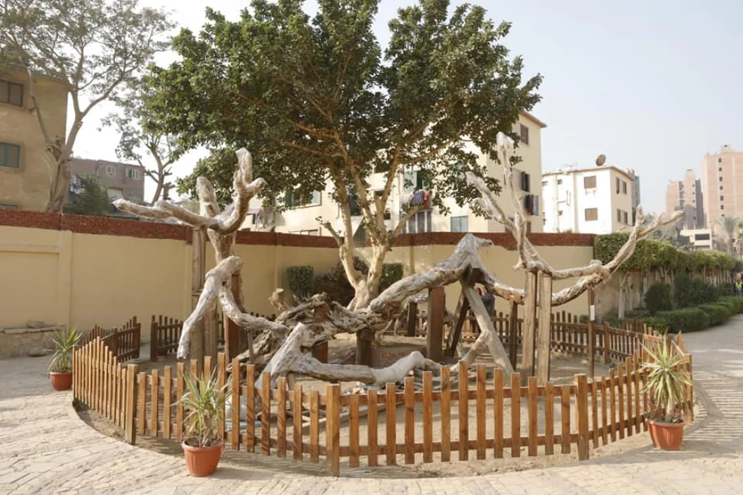 L'arbre de Marie à Al-Matareya
