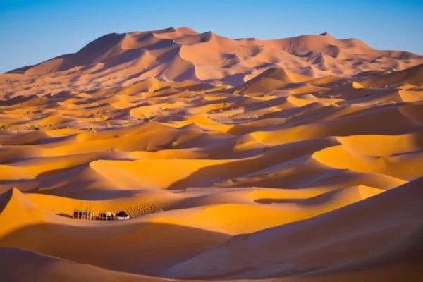 Merzouga Dunes