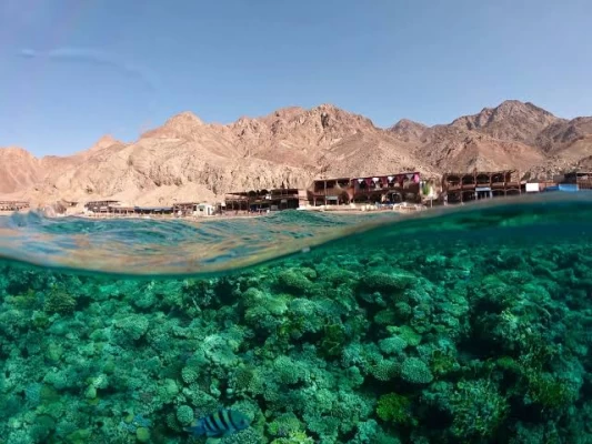 Egypt Luxury Tours from Azerbaijan