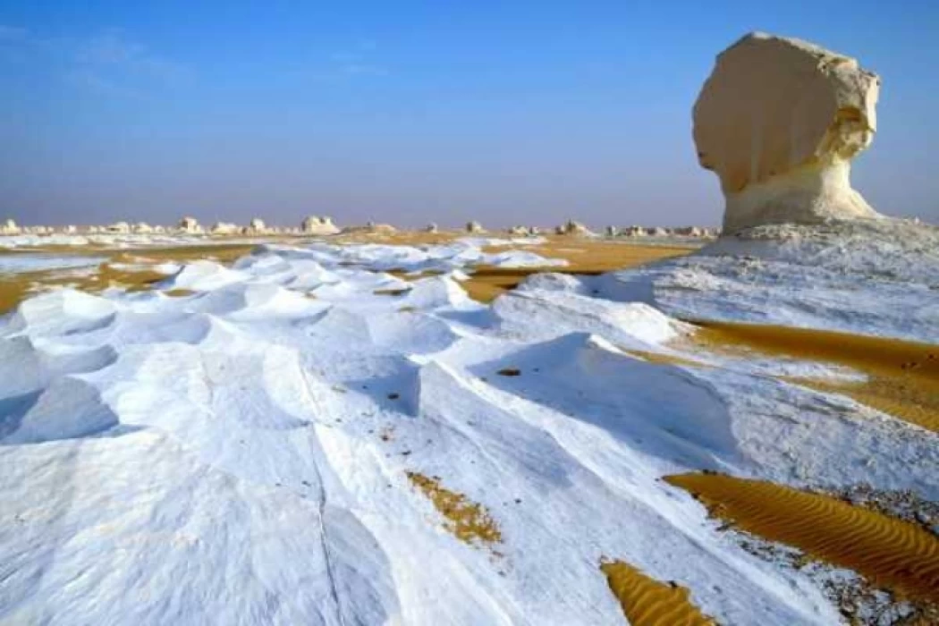 Oasis d'Égypte - Explorez la beauté naturelle la plus pure
