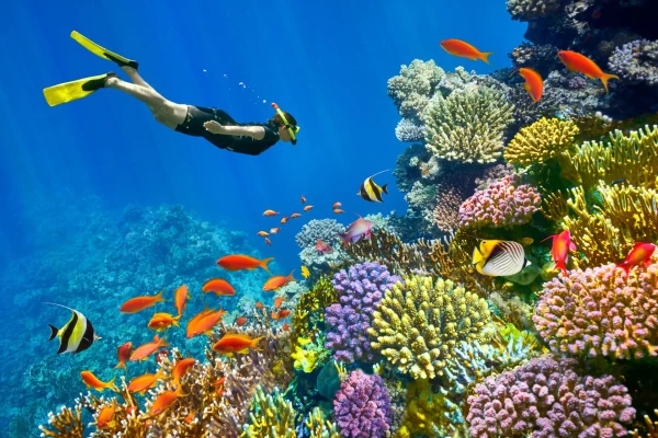 Sharm El Sheikh Shore Excursions