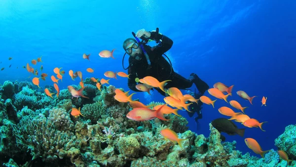Hurghada Snorkeling Trip from Safaga Port
