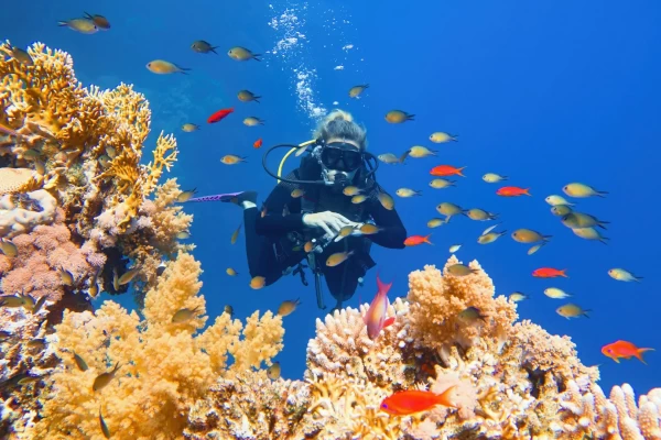 Hurghada Snorkeling Trip from Safaga Port