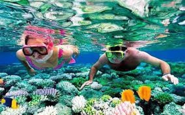Safari subacqueo a Hurghada dal porto di Safaga