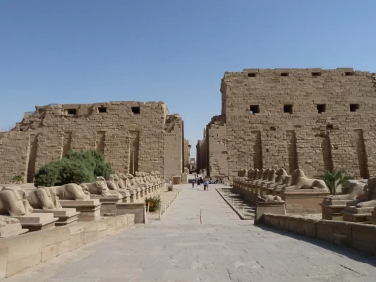 Excursión de un día desde el puerto de Safaga al templo de Karnak | Safaga a Luxor