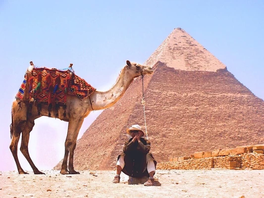 Tour giornaliero del Cairo alle piramidi dal porto di Sokhna