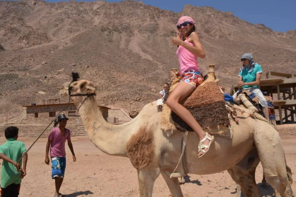 Giza Pyramids – Must-See Stop on Shore Excursion from Sokhna Port