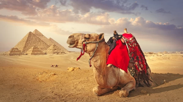 Experience the Wonders of Giza on a Sokhna Shore Excursion
