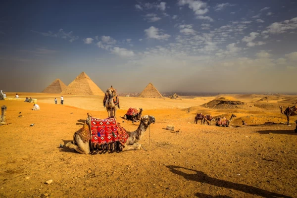 Tour rapidi del Cairo dal porto di Sokhna