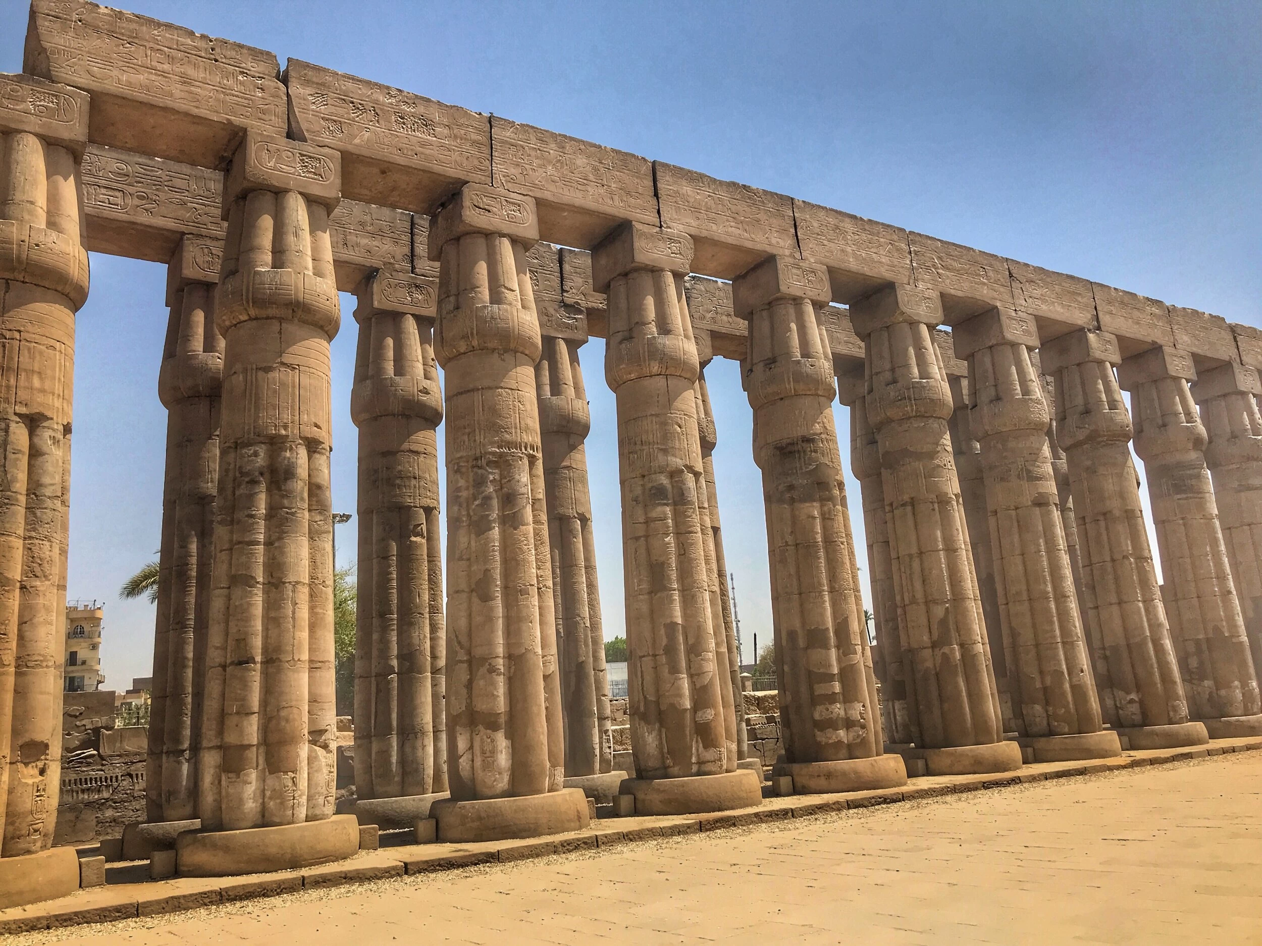 Luxor Temple visit during 8-Days Cairo, Luxor, and Aswan Budget Tour