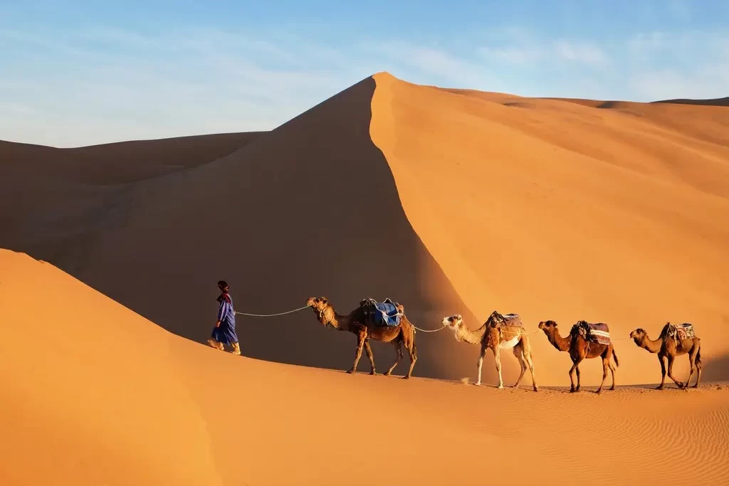 Morocco Sahara Desert History and Ancient Caravan Routes