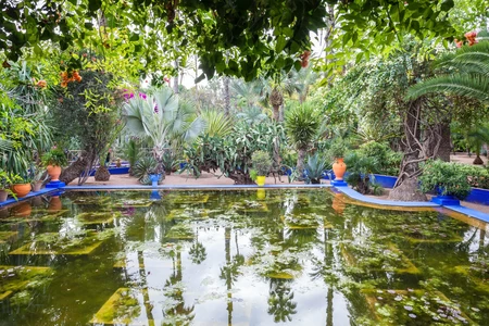 Jardín Majorelle, Marruecos