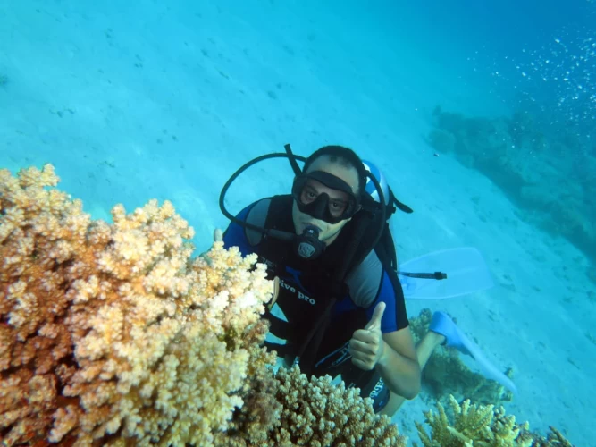 Tiran Island Snorkeling Trip from Sharm El Sheikh | Tours in Sharm El Sheikh