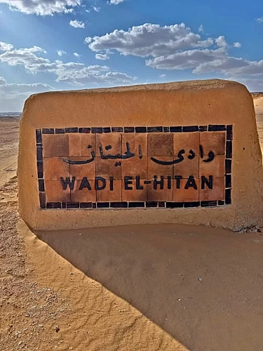 Desert Safari Trip to Wadi El Rayan and Wadi Hitan