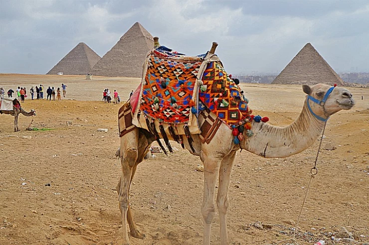 5-дневный отпуск в Каире и Луксоре