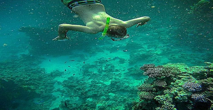 Marsa Alam Snorkeling Trips | Hamata Islands Snorkeling