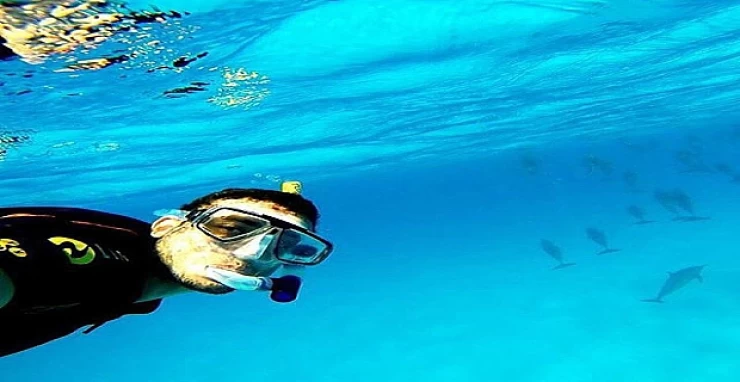 Marsa Alam Snorkeling Trips | Hamata Islands Snorkeling