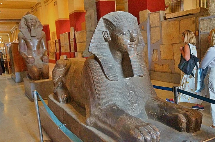 Excursión de medio día al Museo Egipcio