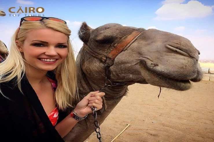 Tour di un giorno alle piramidi di Giza con giro in cammello