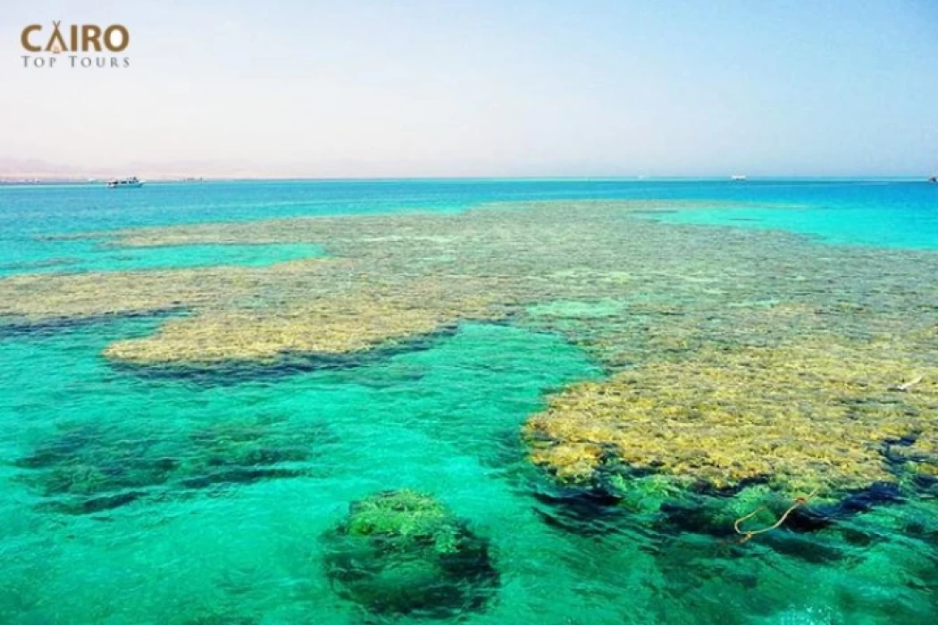 Tiran Island Sharm El Sheikh | Tiran Island Diving