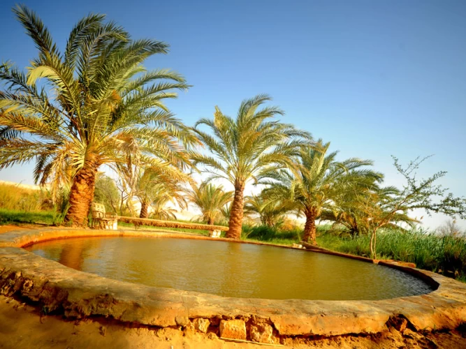 Tour dell'oasi di Siwa dal Cairo