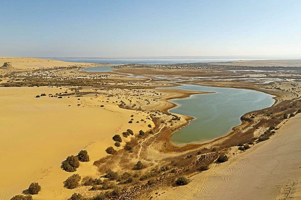 El Fayoum Oasis Egypt | Fayoum Oasis Lake Qarun | Wadi El Rayyan