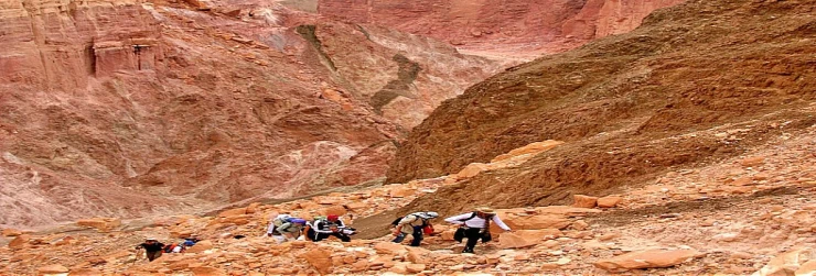 2-tägiges Trekking in den Wadis des Sinai