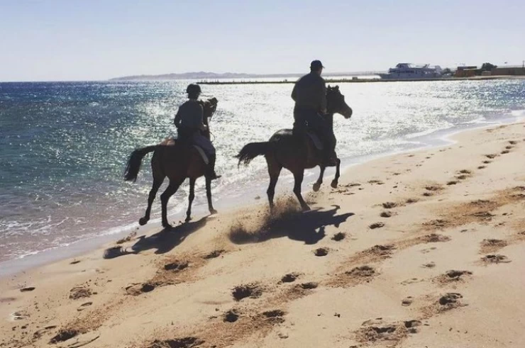 Paseos a caballo en Hurghada