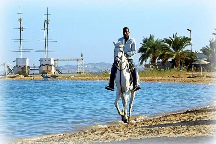 Horse Riding in Hurghada | Hurghada Horseback Ride