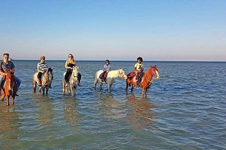 Horse Riding in Hurghada | Hurghada Horseback Ride