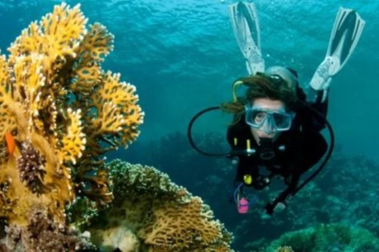  Scuba Diving Excursion in El Gouna | El Gouna Diving Trips 