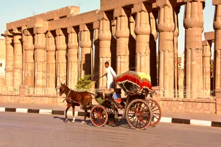 Tour della città di Luxor in carrozza